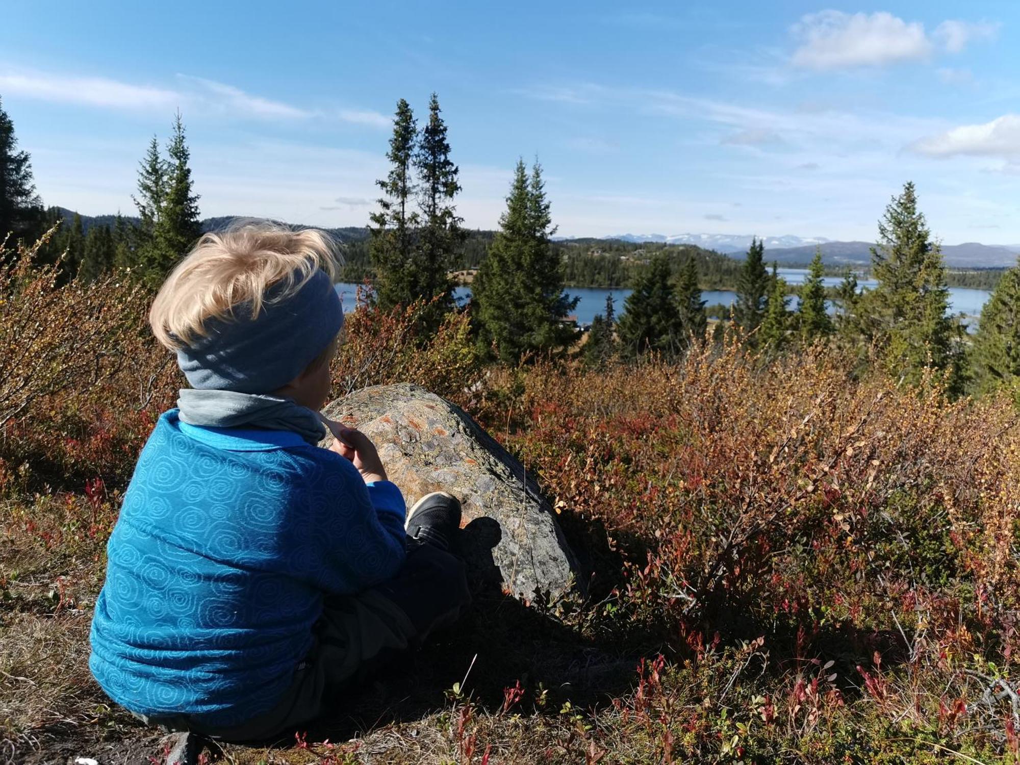Gronolen Fjellgard Hotel Beitostolen Buitenkant foto
